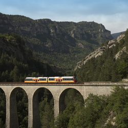 Transport